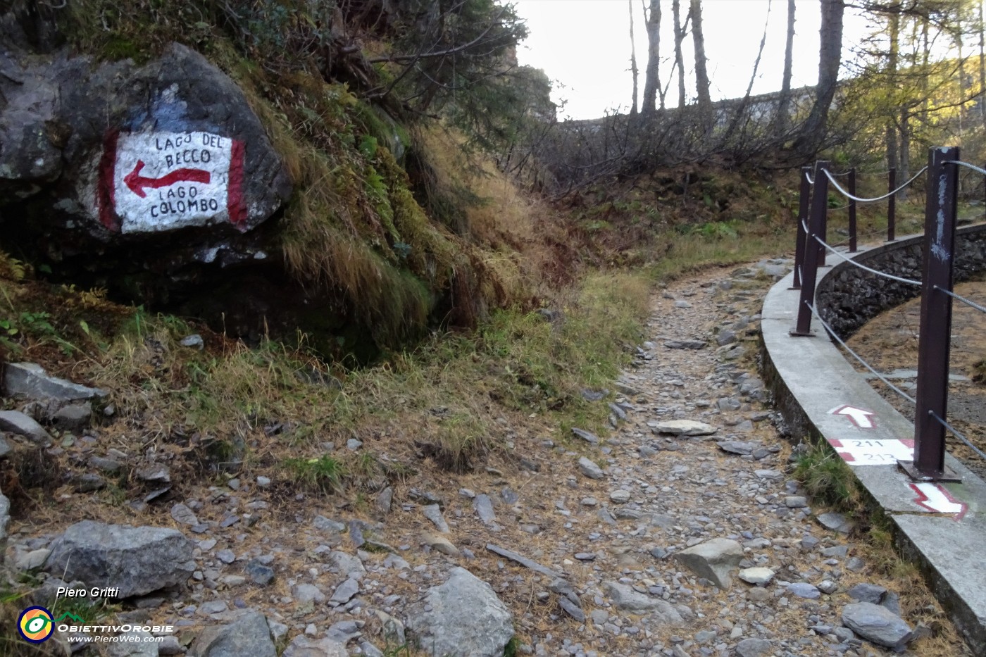 19 Sul sent. 211, scorciatoia per Laghi del Becco e Colombo a sx,  tiro dritto per Lago Marcio.JPG